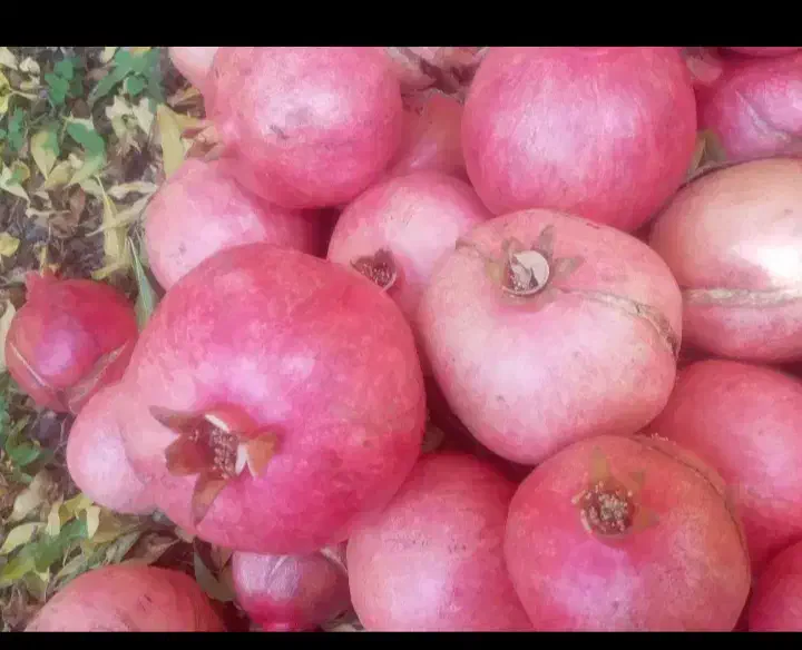 انار کوهنانی درجه یک چین اول|خوردنی و آشامیدنی|کوهدشت, |دیوار