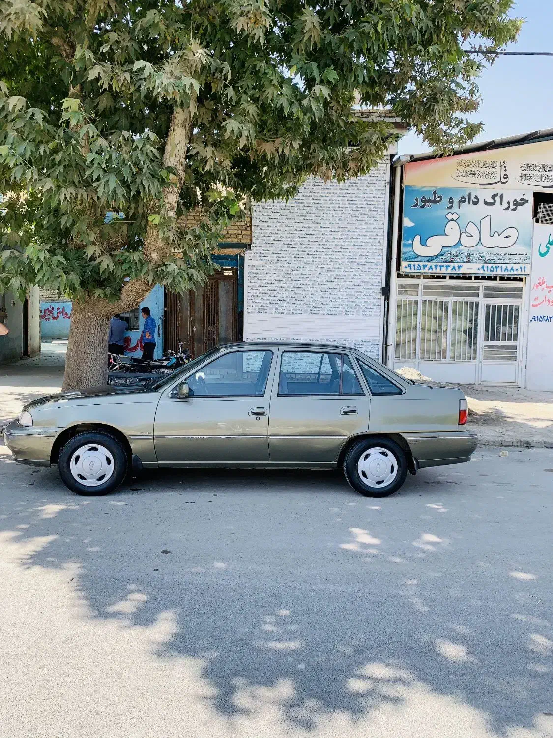 دوو سیلو مدل ۸۱|خودرو سواری و وانت|چناران, |دیوار