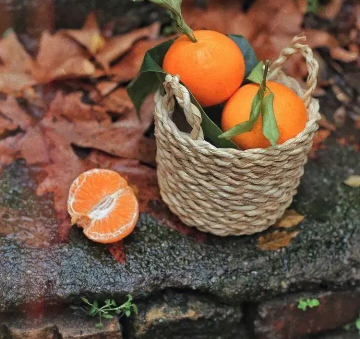 باکس کوچیک حصیری|صنایع دستی و سایر لوازم تزئینی|رشت, حمیدیان|دیوار