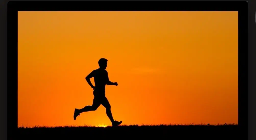 پارتنر ورزش|فعالیت داوطلبانه|تهران, صادقیه|دیوار