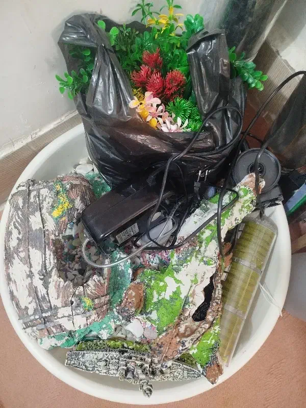 آکواریوم|ماهی|سقز, |دیوار