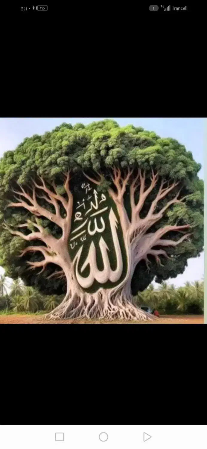 دعا|فعالیت داوطلبانه|مشهد, موعود|دیوار