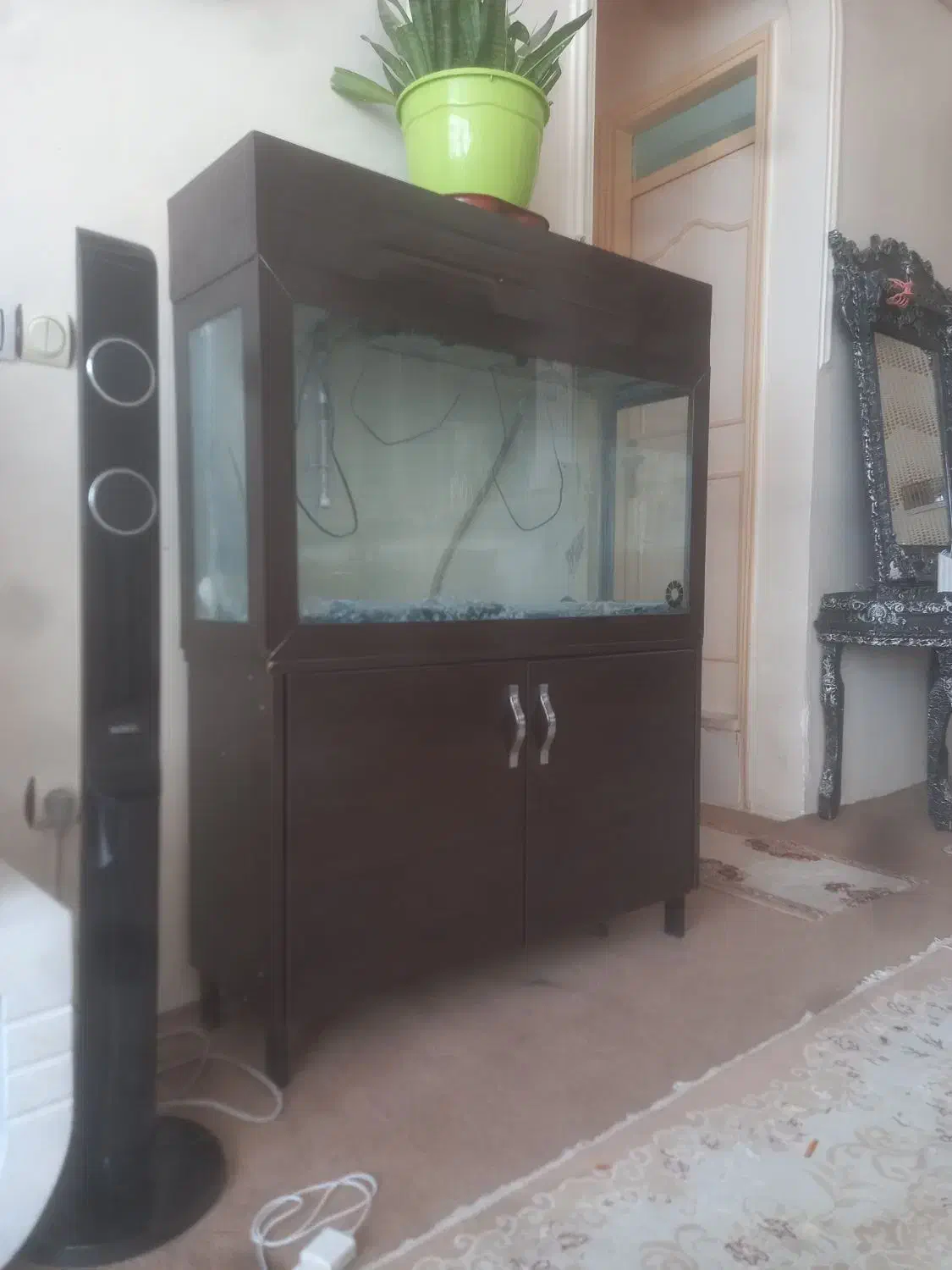 فروش اگواریوم|ماهی|ماکو, |دیوار