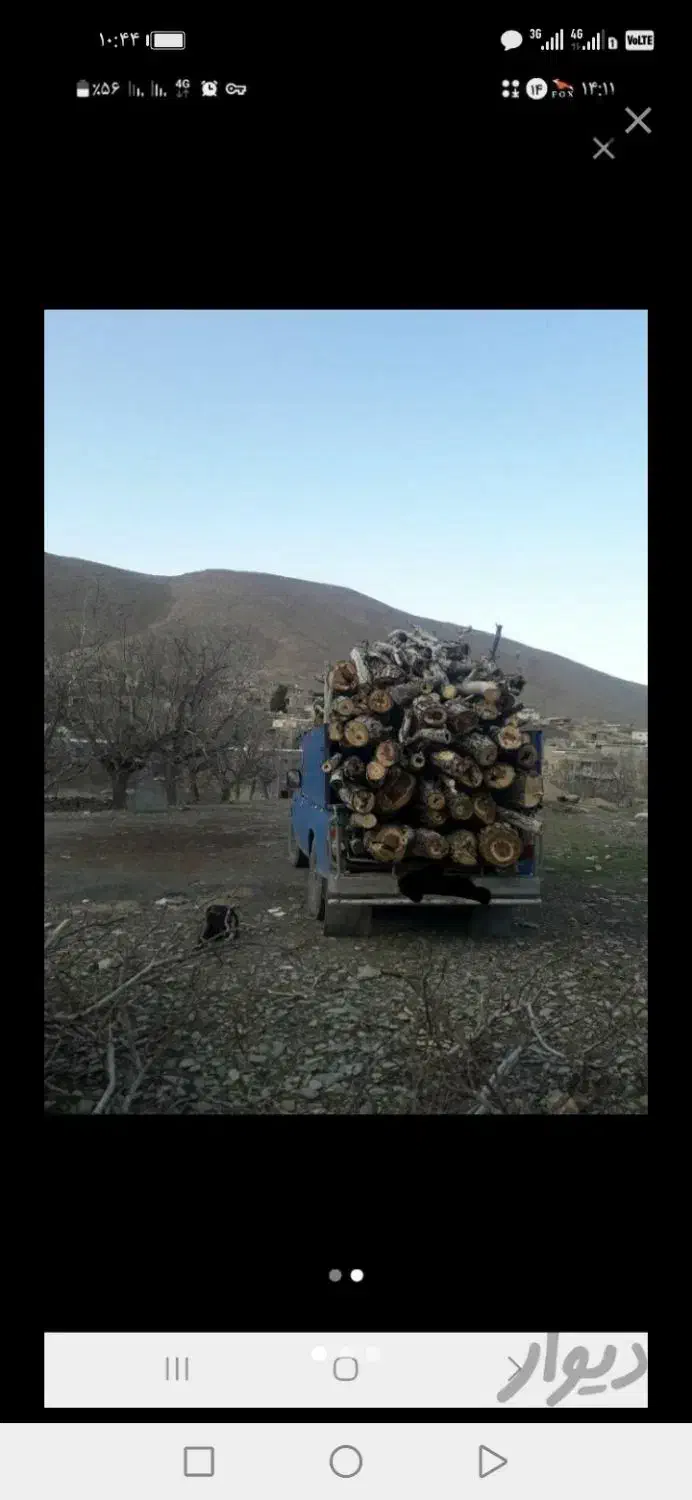 هرس کردن درختان وخرید درختان شما بابالاترین قیمت|خدمات باغبانی و درختکاری|خرمآباد, |دیوار