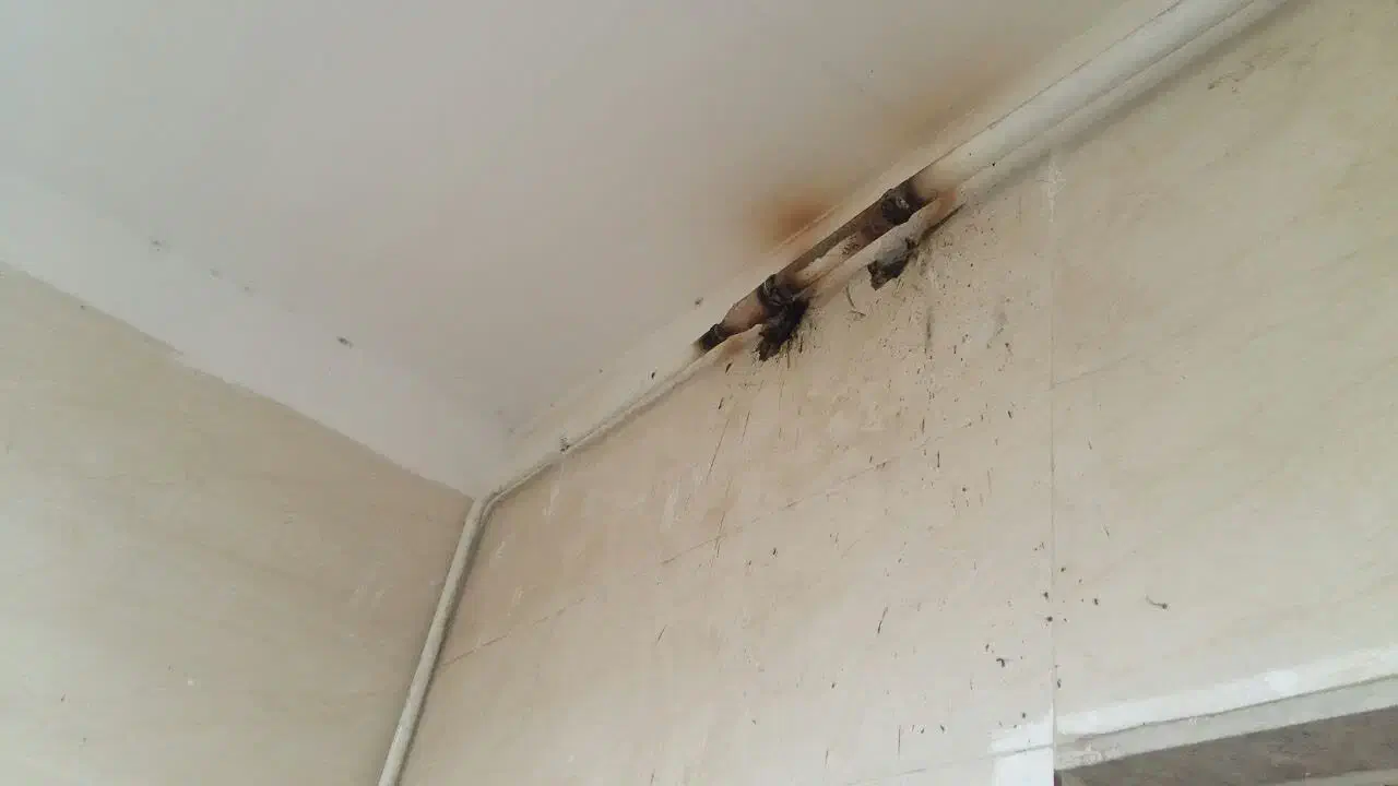 جوشکار ولوله کش گاز|خدمات پیشه و مهارت|گرگان, |دیوار