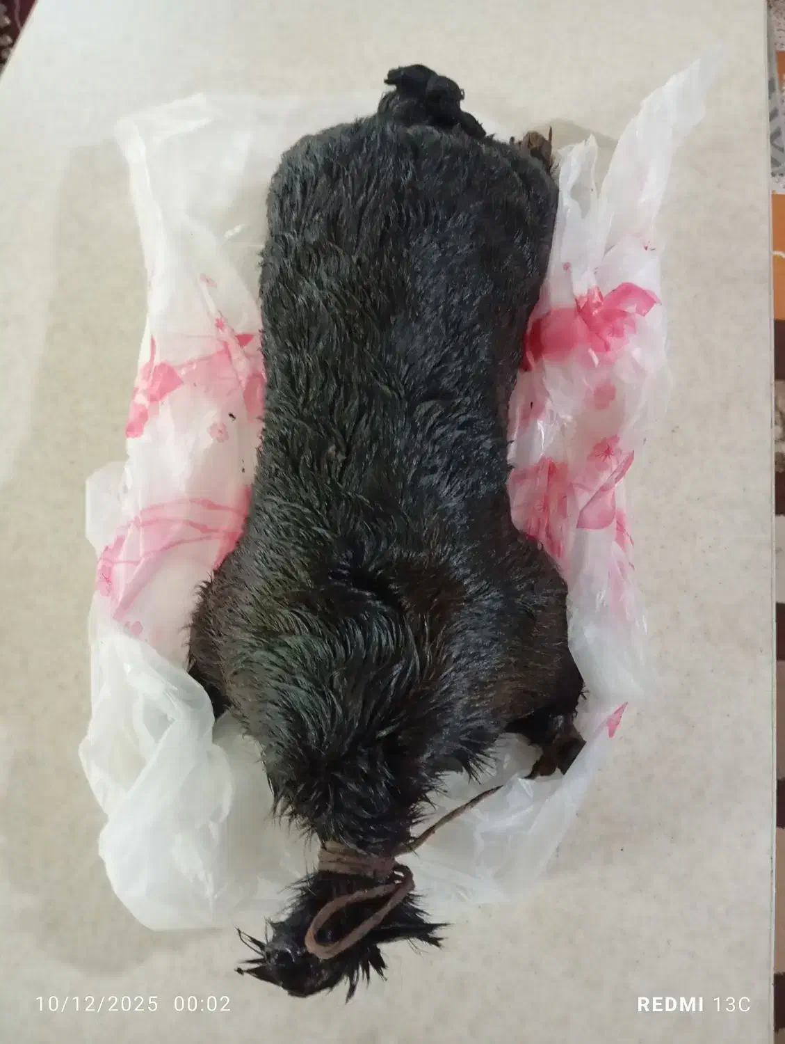 خیک روغن|ظروف نگهدارنده، پلاستیکی، یکبارمصرف|الیگودرز, |دیوار