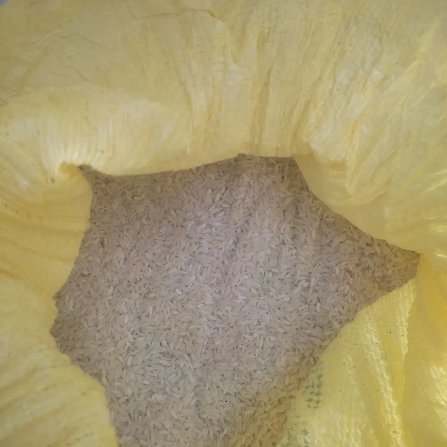 برنج سالم دم سیاه ۳۰۰|عمدهفروشی|چگنی, |دیوار