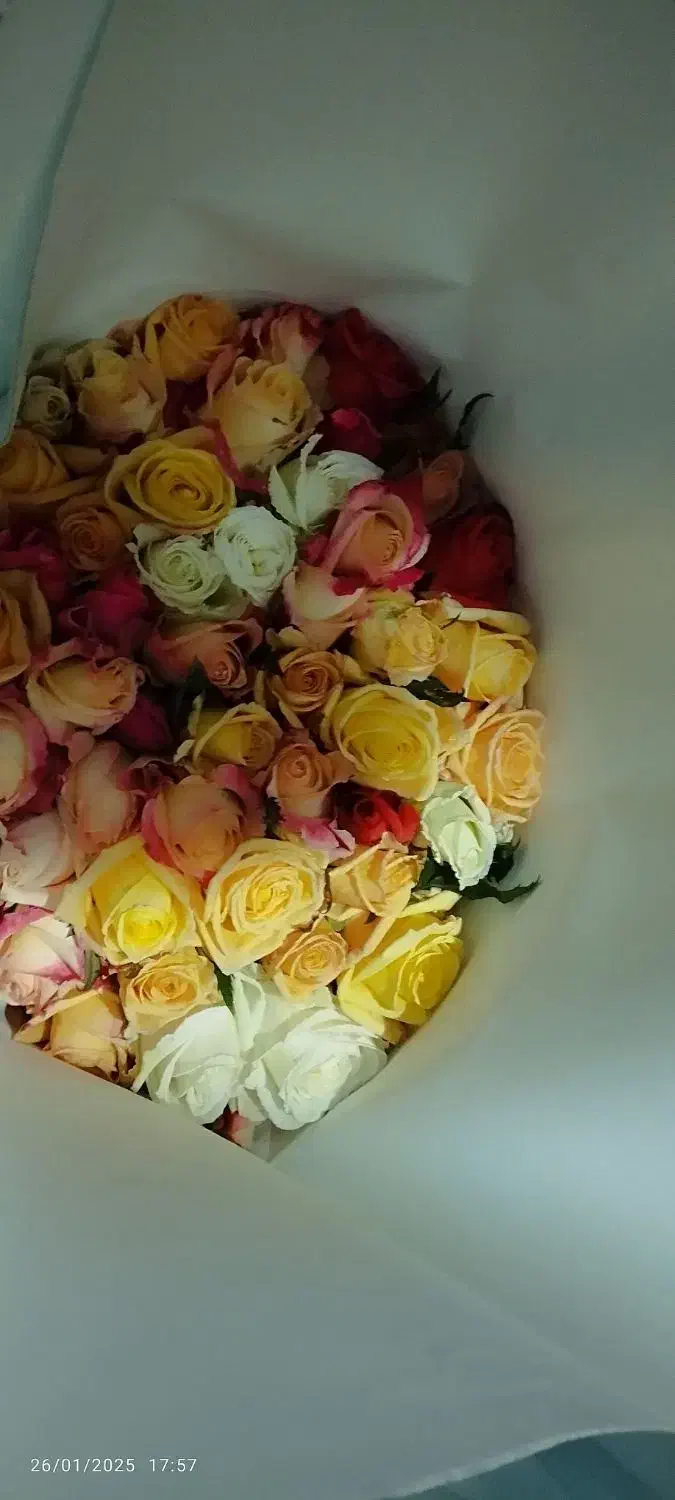 فلور و غیره|گل و گیاه طبیعی|بوئین زهرا, |دیوار