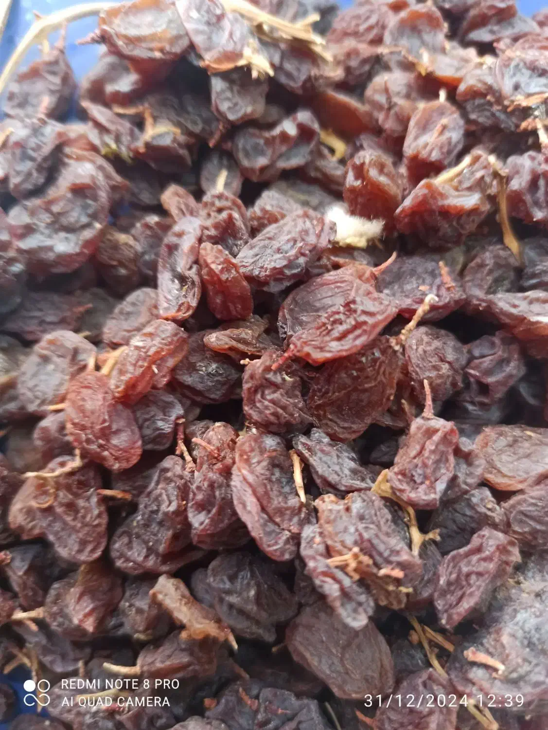 کشمش افتابی نقدی و چک|خوردنی و آشامیدنی|سامان, |دیوار