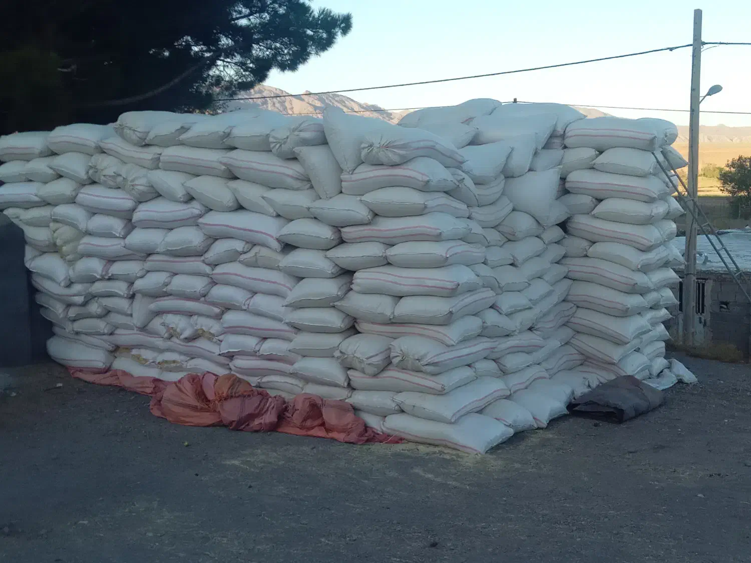 کاه گندم دیمه|عمدهفروشی|باخزر, |دیوار