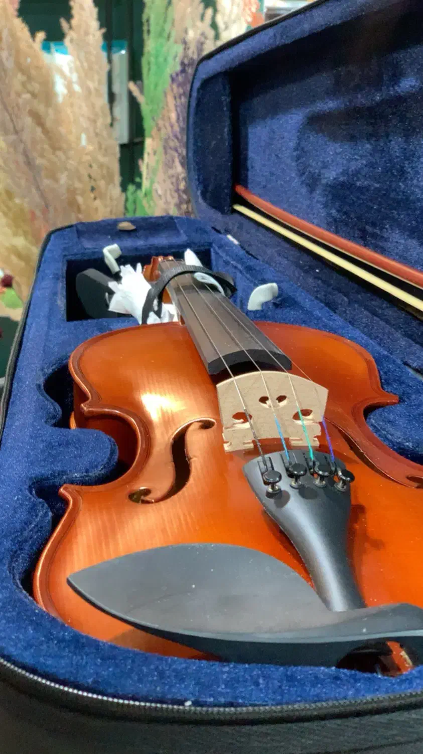 ویالون|ویولن|تهران, آذری|دیوار