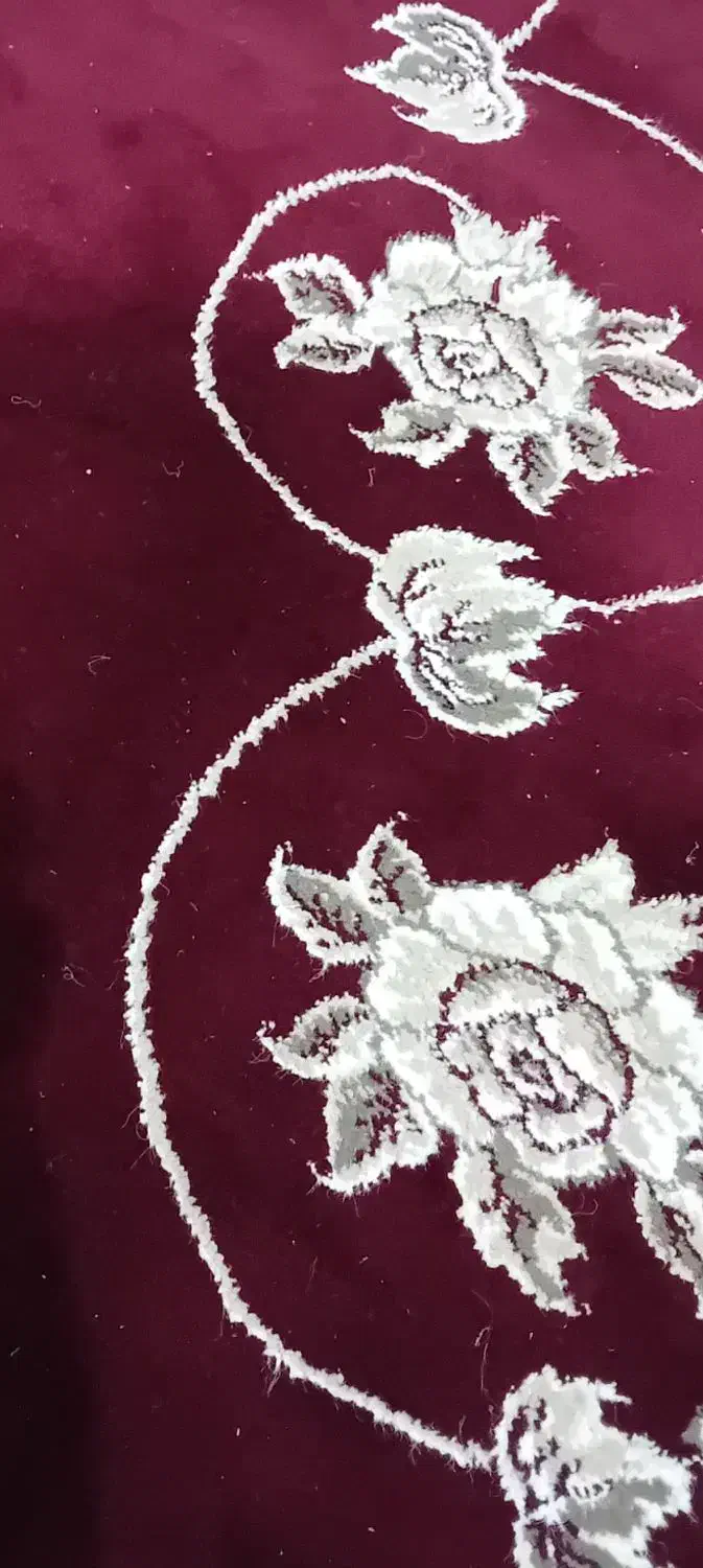 فرش ۵۰۰ شانه ۶ متری ۲ تا هست|فرش|خمام, |دیوار