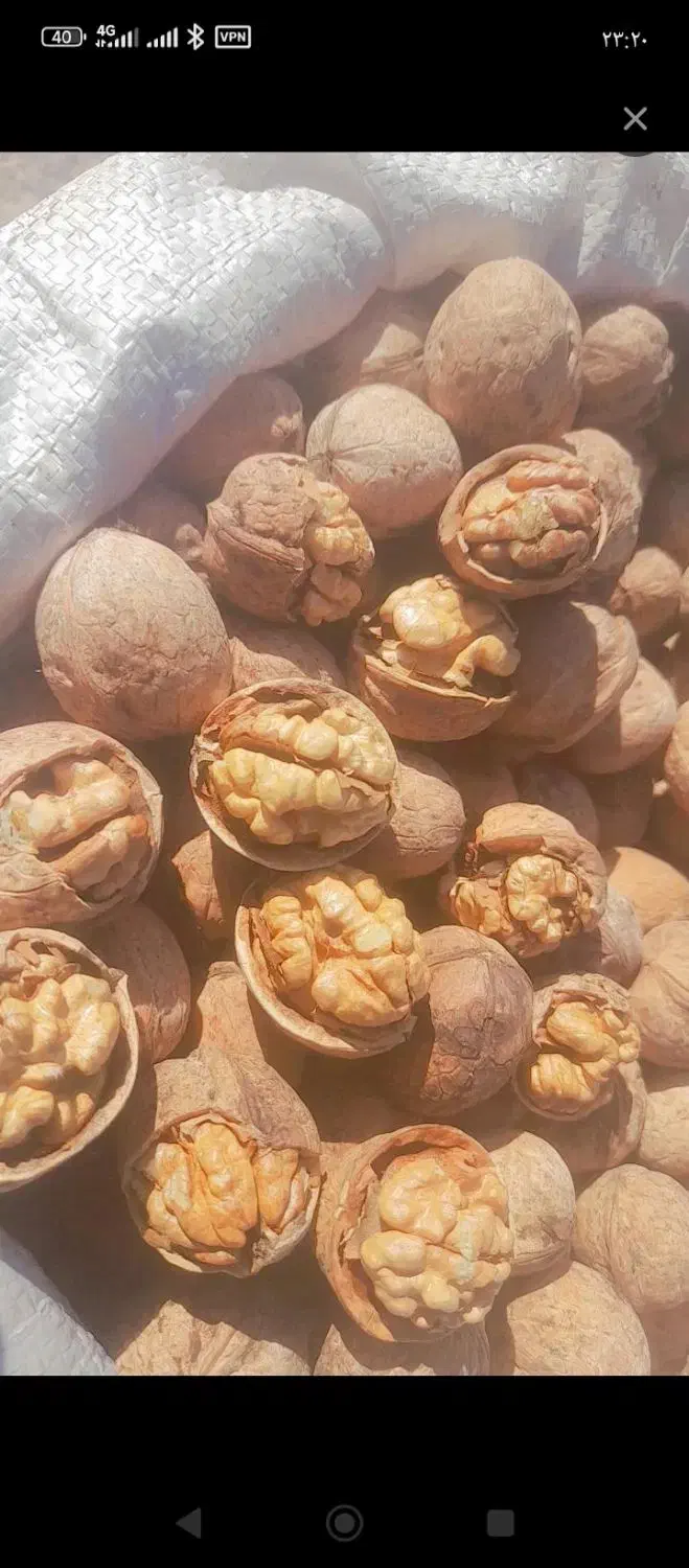 گردو خوشمزه|خوردنی و آشامیدنی|سهند, |دیوار