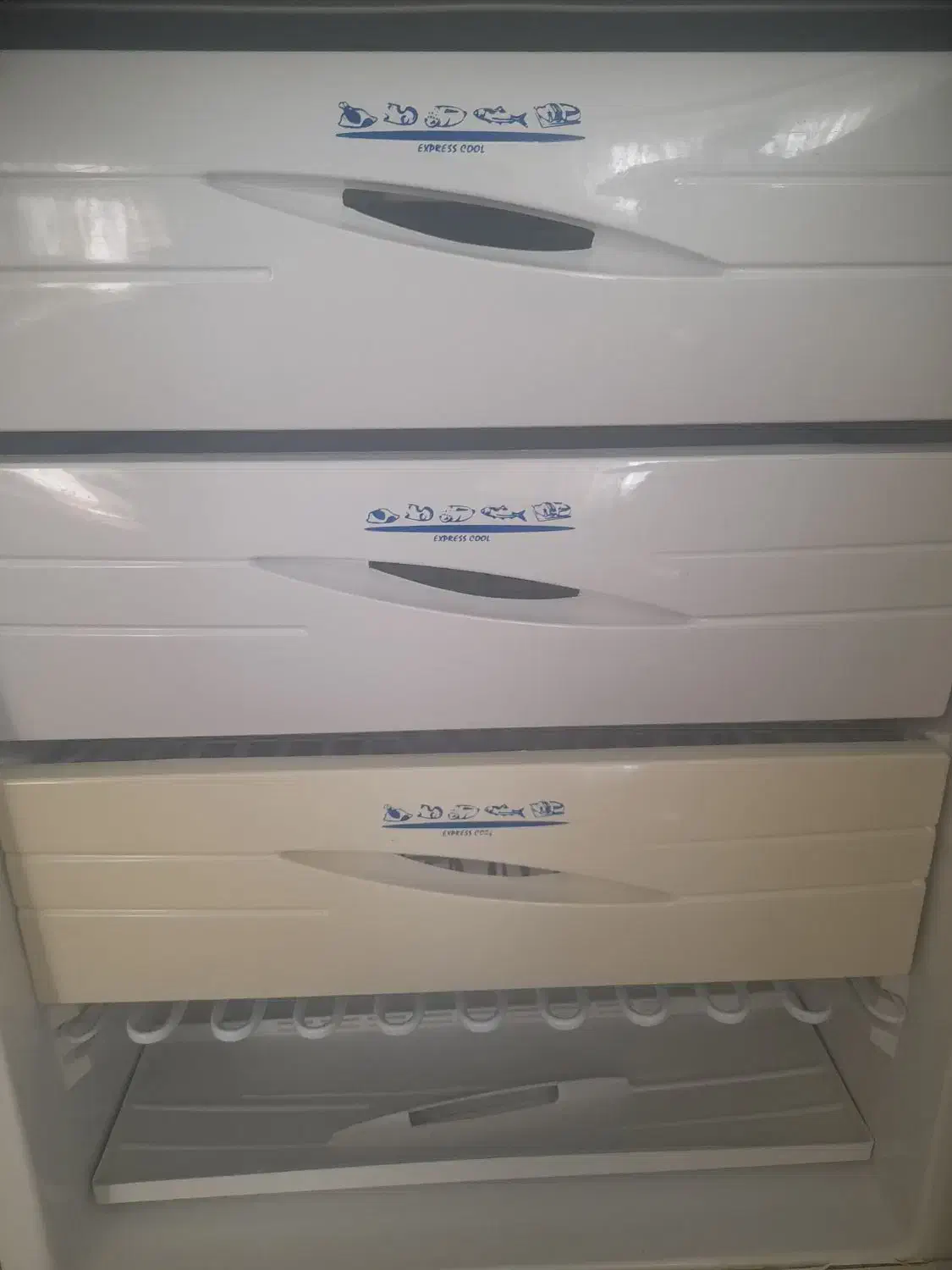 یخچال  فریزر سالیوان|یخچال و فریزر|گلبهار, شهر جدید گلبهار|دیوار