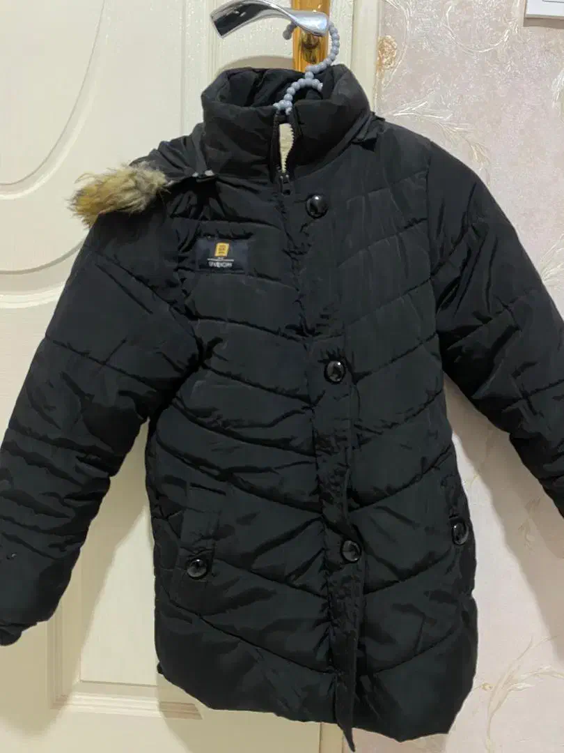 کاپشن دخترانه|لباس|ری, جوانمرد قصاب|دیوار