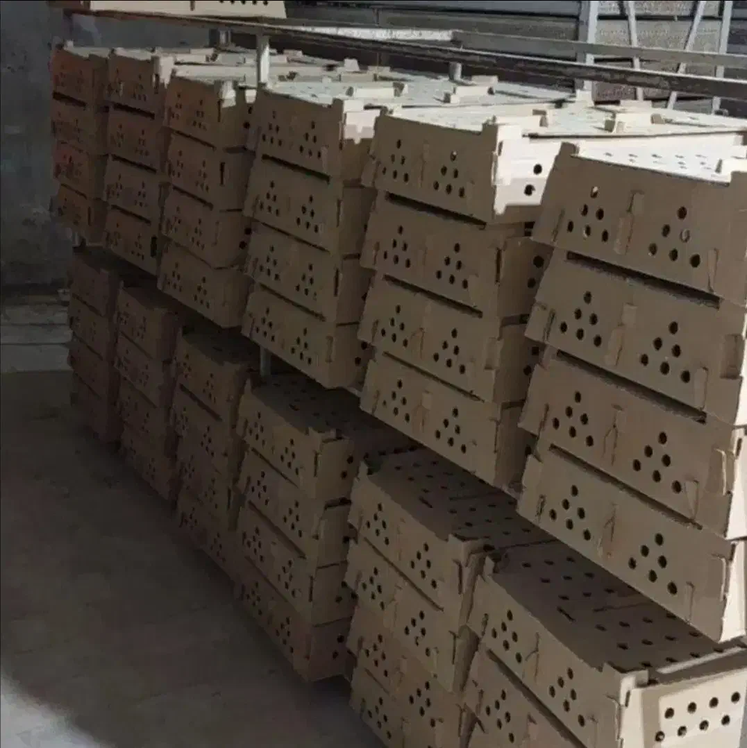 کارخانه توزیع جوجه محلی گوشتی    اردک رنگی بوقلمون|حیوانات مزرعه|تهران, طیب|دیوار