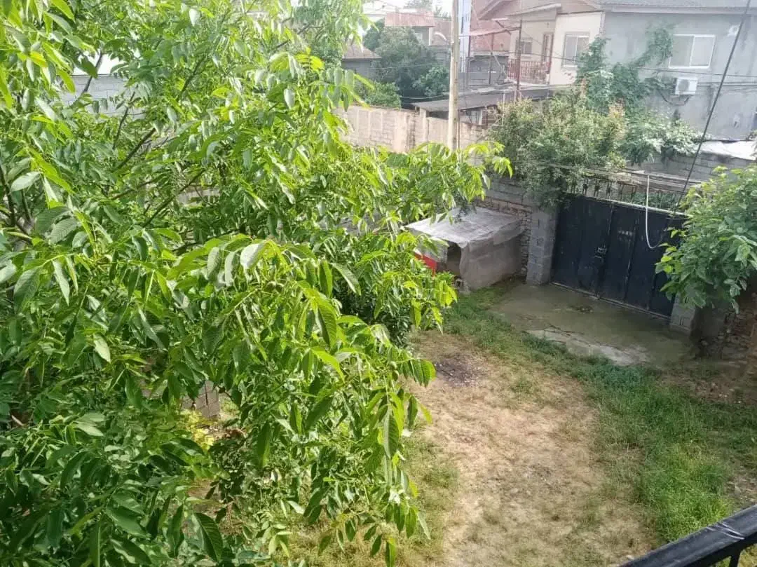 ویلا سنتی باغی با ۴۵۰ متر زمین و سند تک برگ|فروش خانه و ویلا|فریدون‌کنار, |دیوار