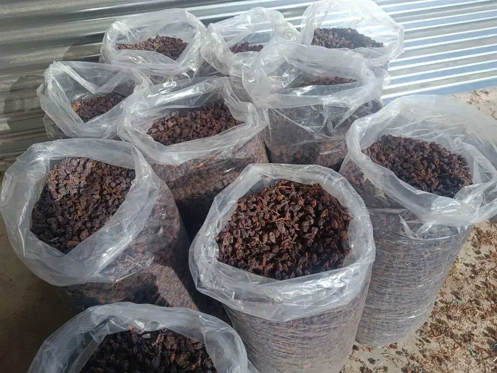 مویز|عمدهفروشی|نورآباد ممسنی, |دیوار