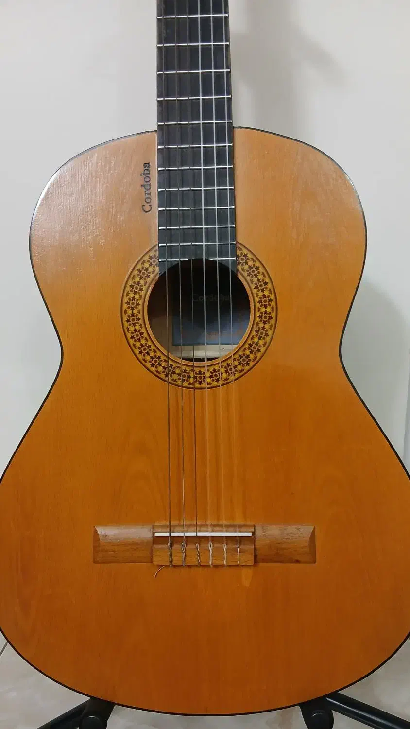 گیتار Cordoba C1|گیتار، بیس، امپلیفایر|تهران, نعمتآباد|دیوار
