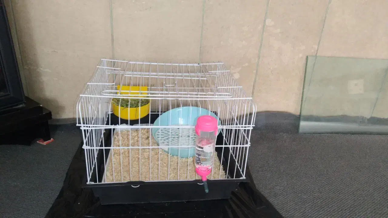 قفس|لوازم جانبی حیوانات|اراک, |دیوار