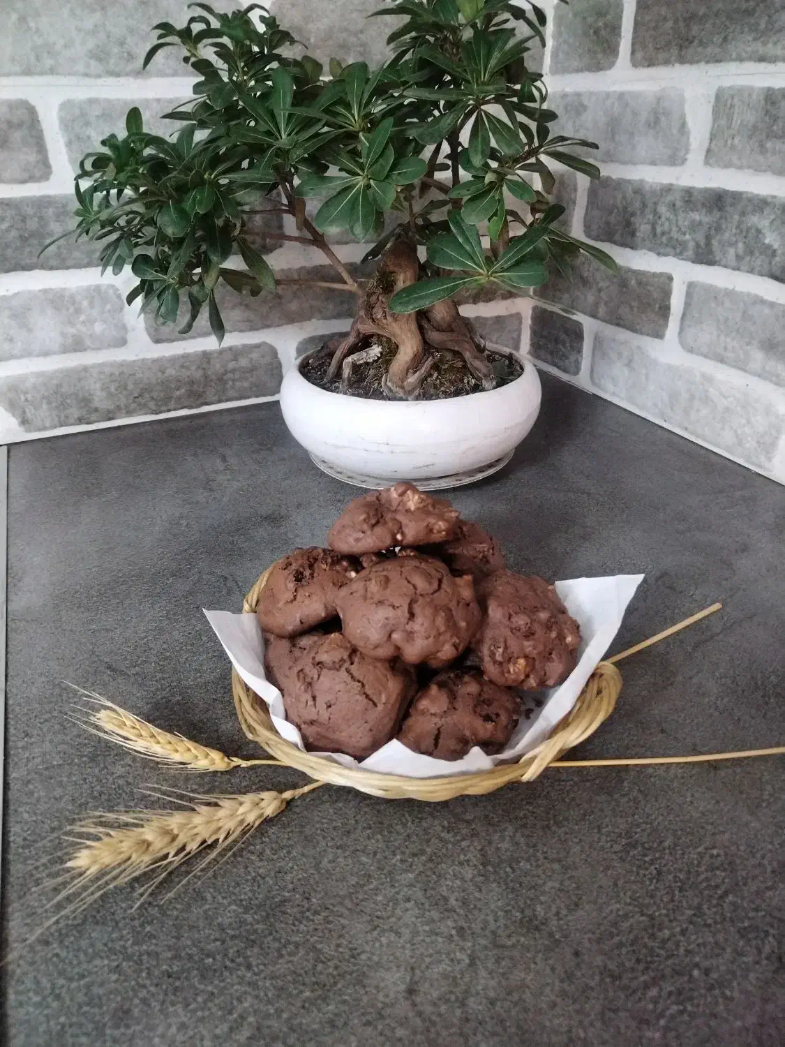 کوکی خانگی|خوردنی و آشامیدنی|رشت, پل تالشان|دیوار