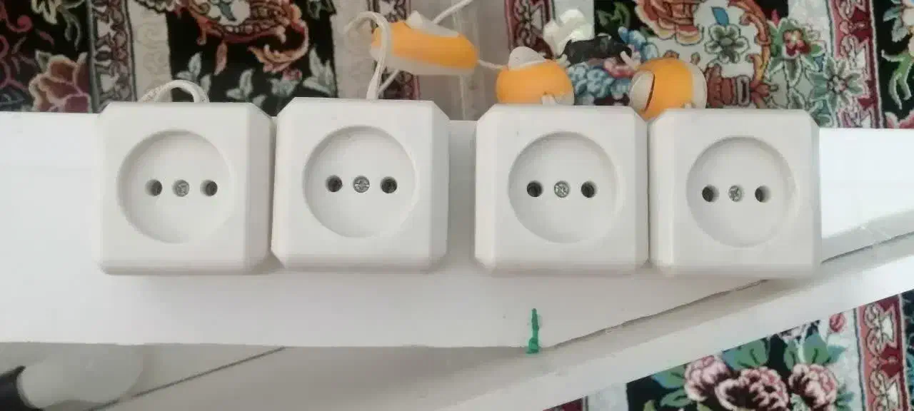 آکواریوم|ماهی|شاهرود, |دیوار