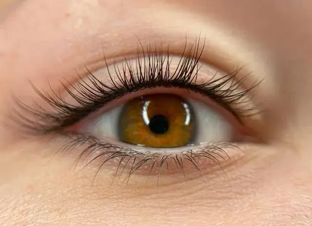 آموزش تخصصی آرایش دائم|خدمات آموزشی|تبریز, |دیوار