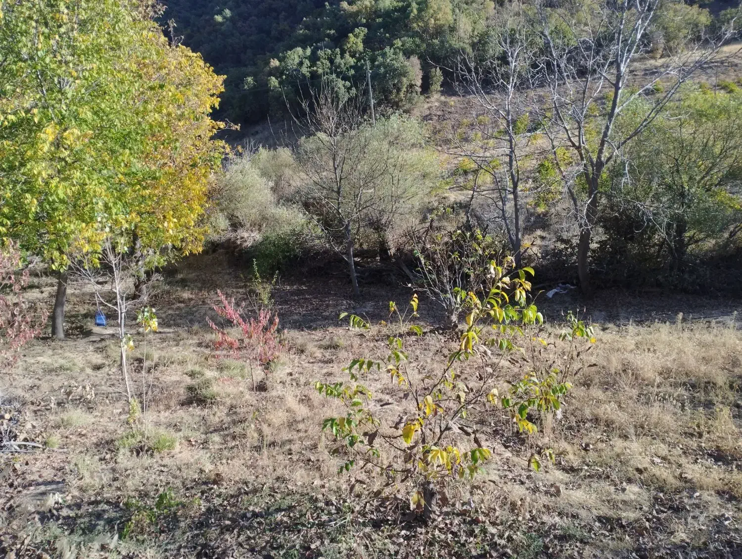 فروش یک قطعه زمین کشاورزی به متراژ 800متر|فروش زمین و ملک کلنگی|مریوان, |دیوار