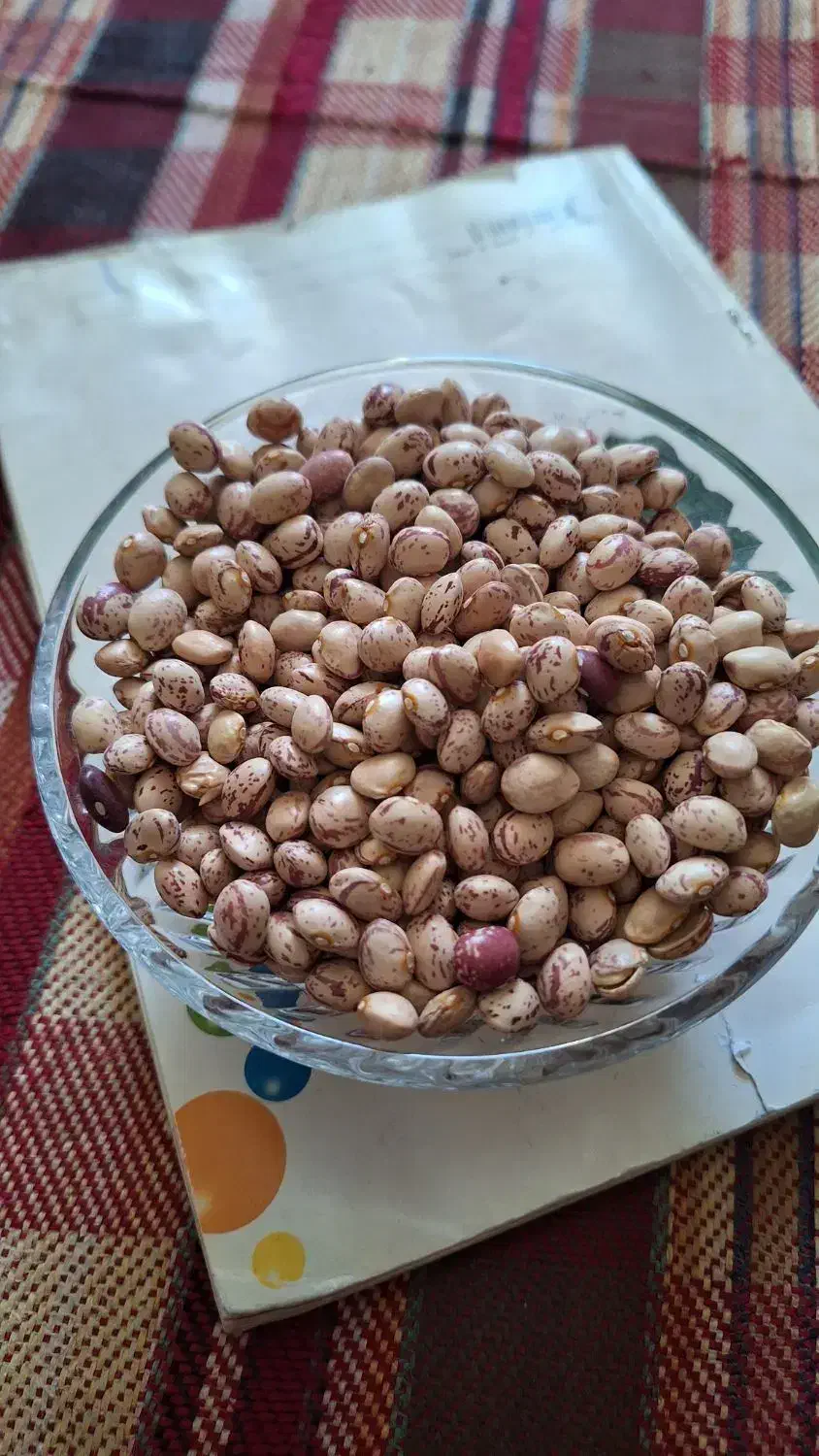 لوبیا چیتی|خوردنی و آشامیدنی|زرقان, |دیوار