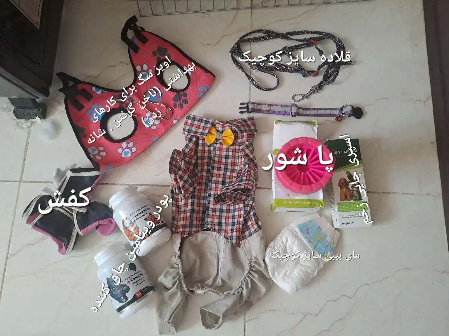 وسایل سگ|لوازم جانبی حیوانات|قهدریجان, |دیوار