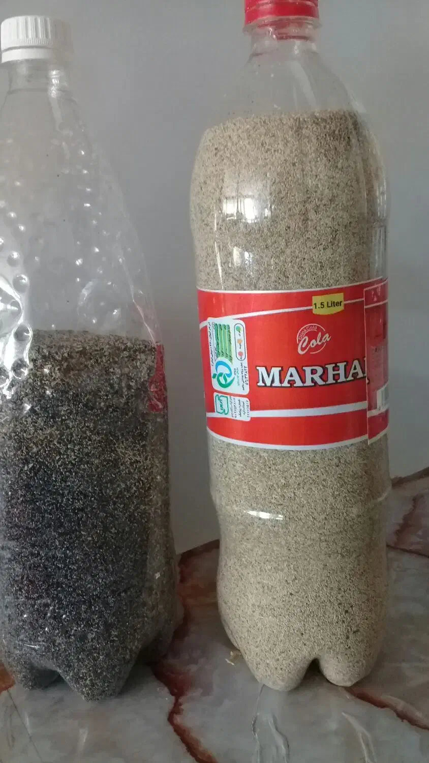 بذر سفید بنفش|گل و گیاه طبیعی|کوهدشت, |دیوار