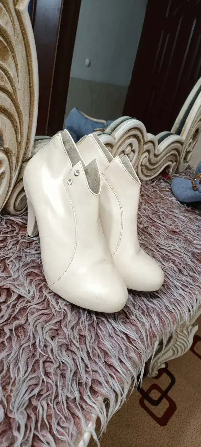 کفش مجلسی|کیف، کفش، کمربند|مشهد, کوی المهدی|دیوار