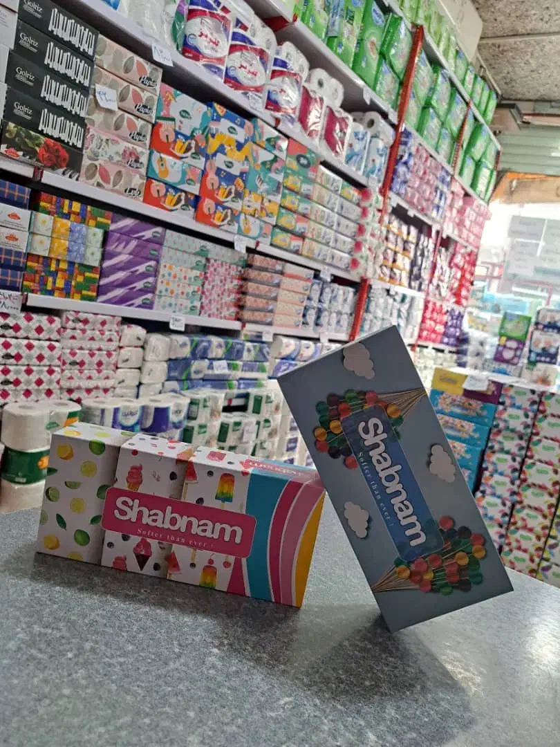 دستمال کاغذی 100برگ(50برگ دولا)اقتصادی|مواد شوینده و دستمال کاغذی|رشت, سلیمانداراب|دیوار