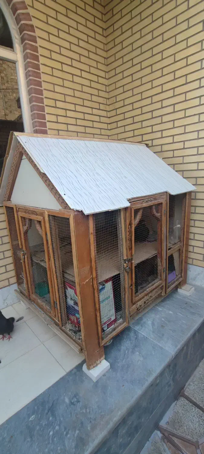 قفس|لوازم جانبی حیوانات|پیر بکران, |دیوار