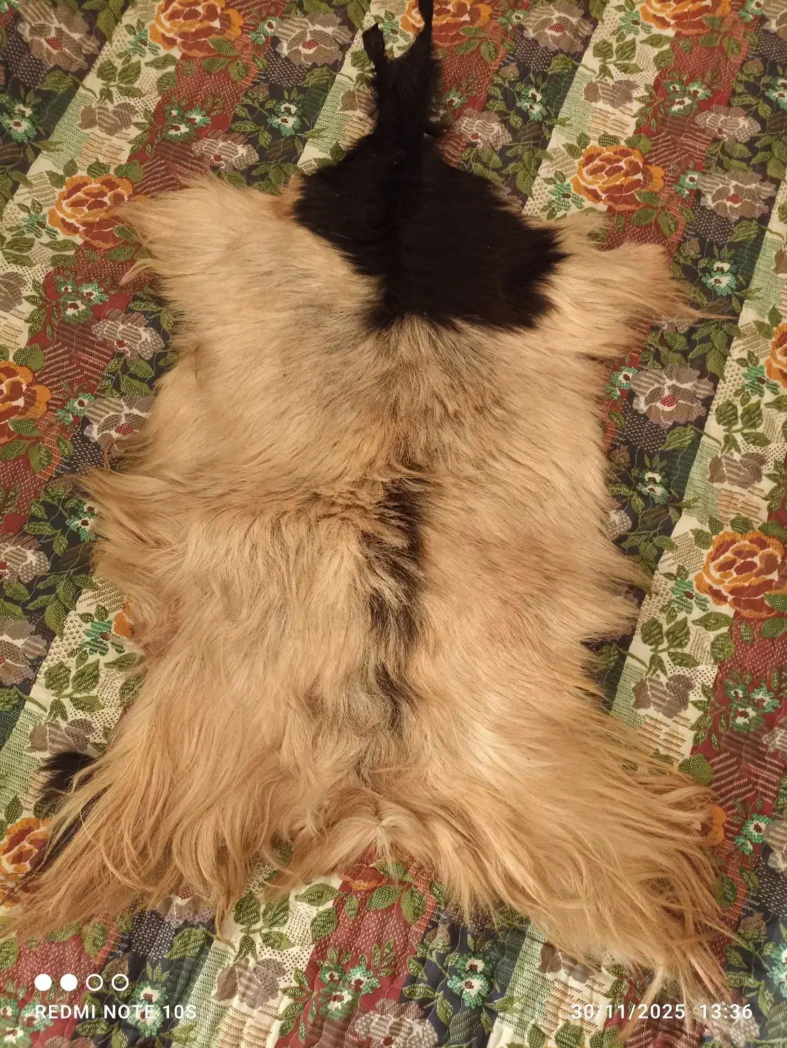 فروش پوست طبیعی طبی و زینتی|آرایشی، بهداشتی، درمانی|مراغه, |دیوار