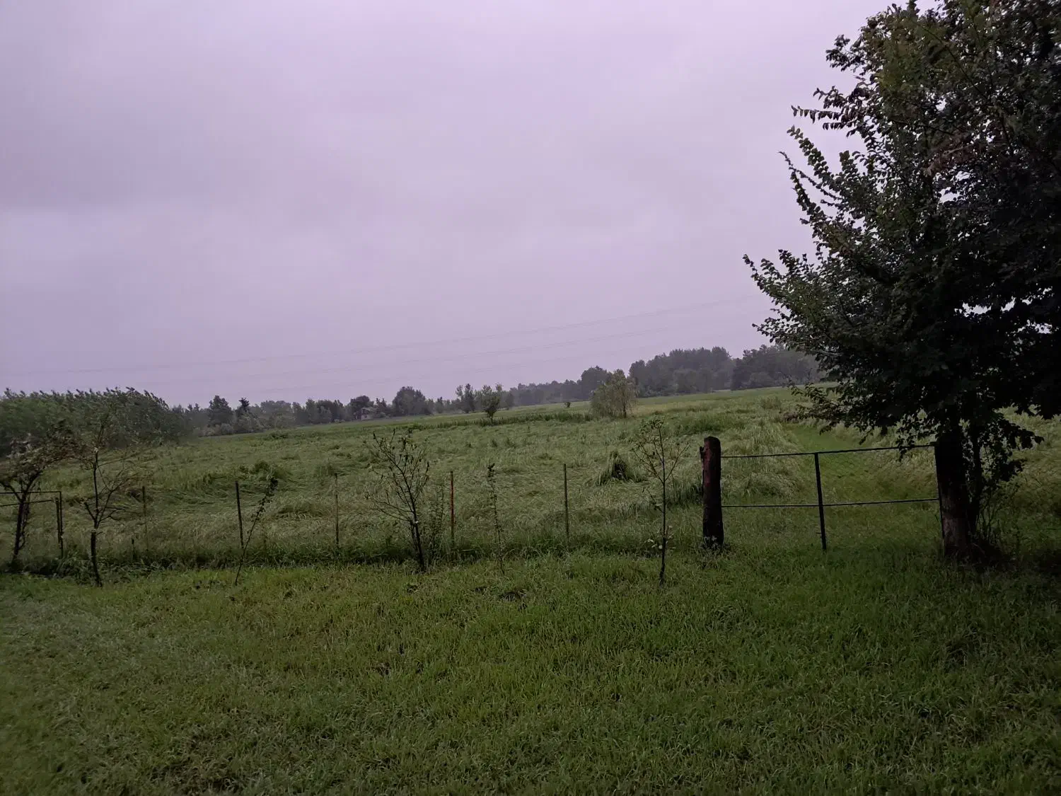 باغ ویلای لوکس جنگلی 1500 متری با تمام امکانات|اجارهٔ کوتاه‌مدت ویلا و باغ|کوچصفهان, |دیوار