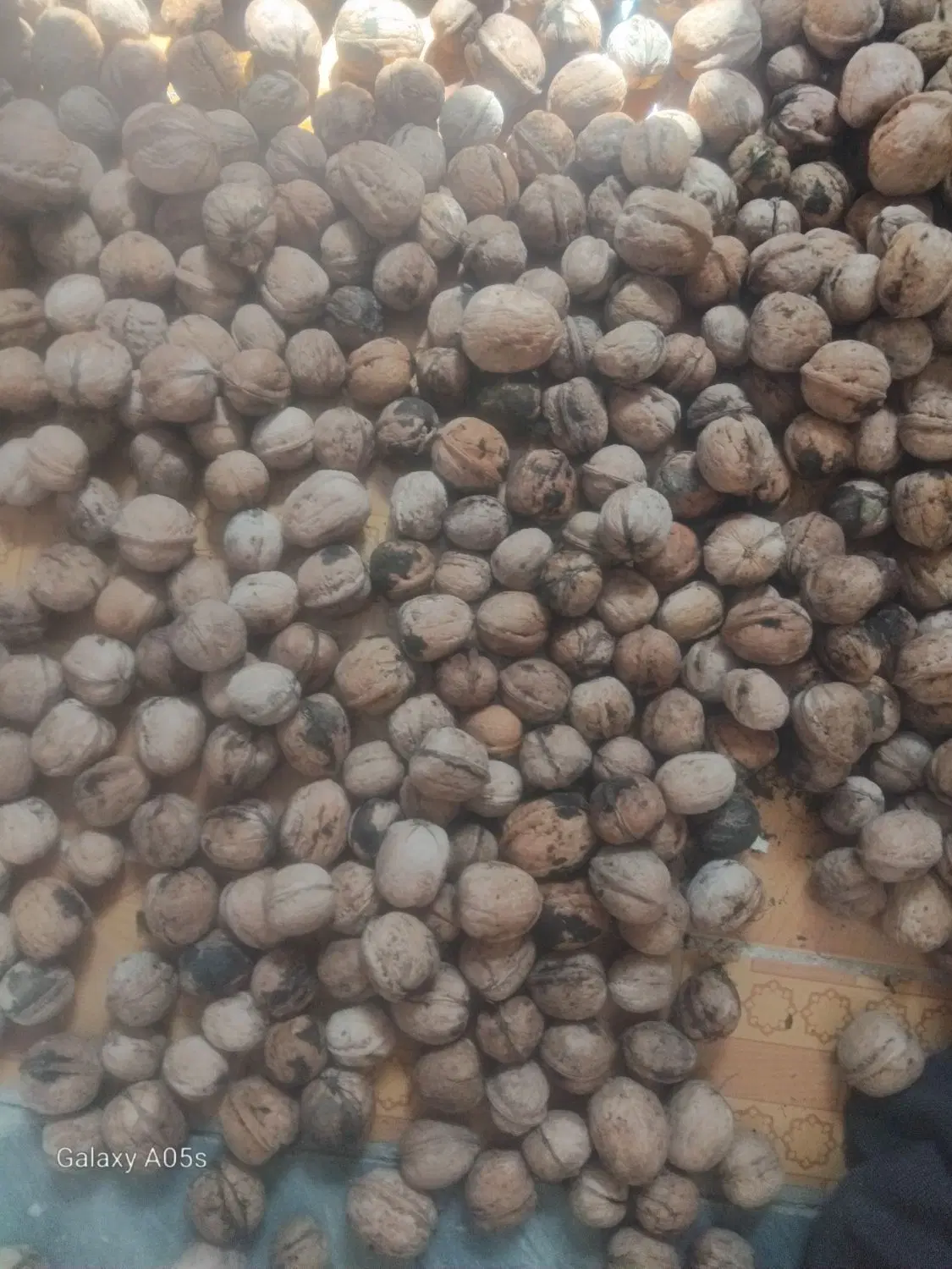 گردو|خوردنی و آشامیدنی|اسدآباد, |دیوار