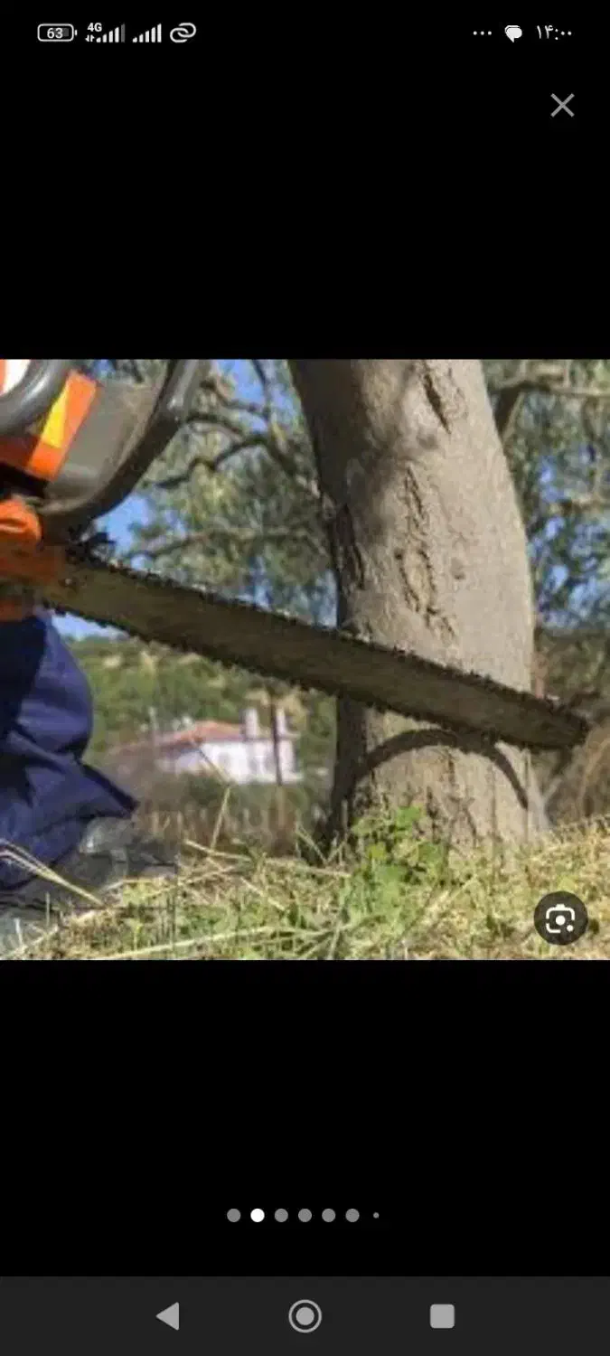 خرید چوب و برش انواع درختان با نازلترین قیمت|خدمات باغبانی و درختکاری|شیراز, دارالرحمه|دیوار