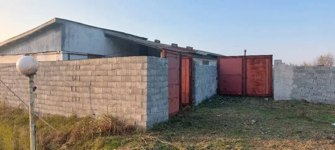 سوله برای گاوداری|فروش دفتر صنعتی، کشاورزی، تجاری|آستانه اشرفیه, |دیوار