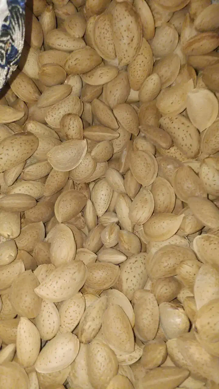 انبار خشکبار گردو بادام انجیر تخمه پسته کشمش و|خوردنی و آشامیدنی|اصفهان, رهنان|دیوار