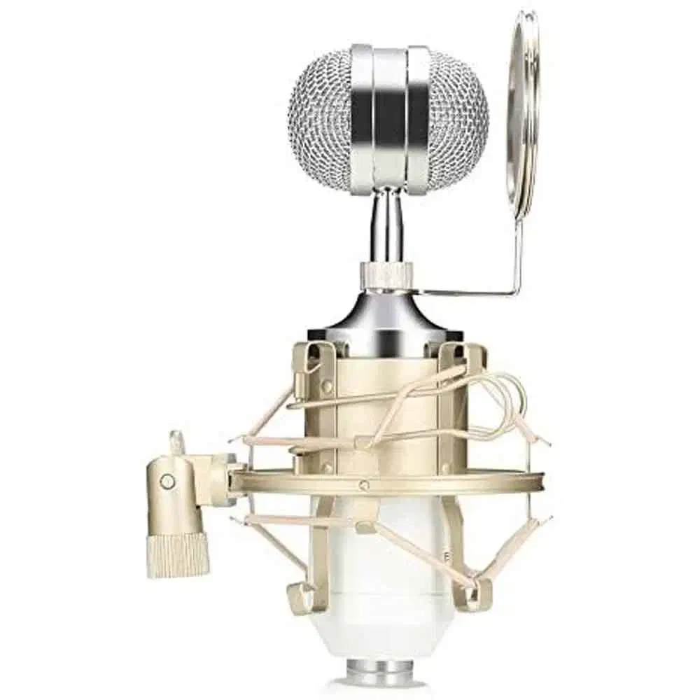 میکروفون استودیویی دقیقا همینی ک تو تصویر میبینید|آلات موسیقی|بجنورد, |دیوار