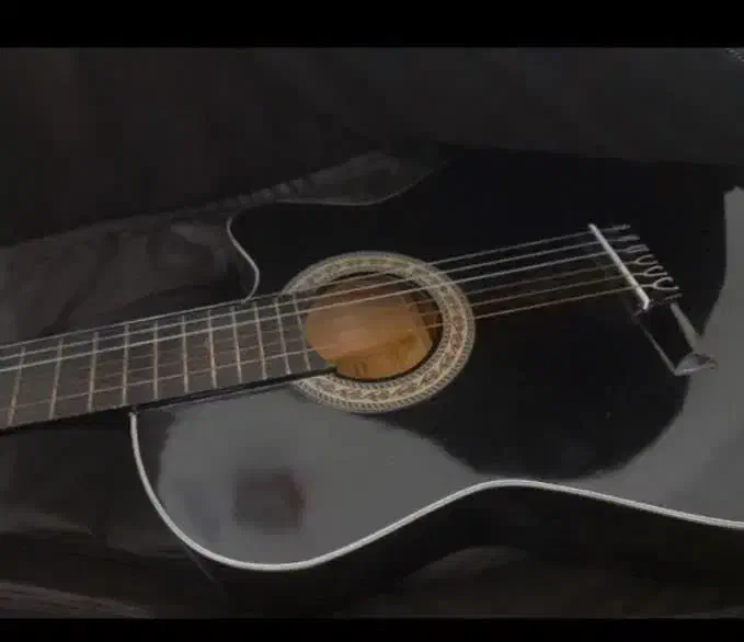 گیتار|گیتار، بیس، امپلیفایر|گرگان, |دیوار