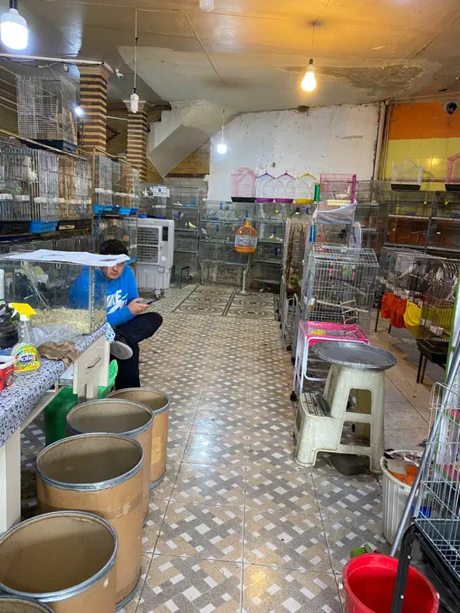 وسایل جانبی حیوانات|لوازم جانبی حیوانات|تبریز, |دیوار