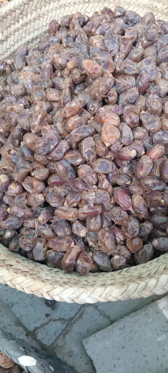 خرمای گنطار|حراج|شادگان, |دیوار
