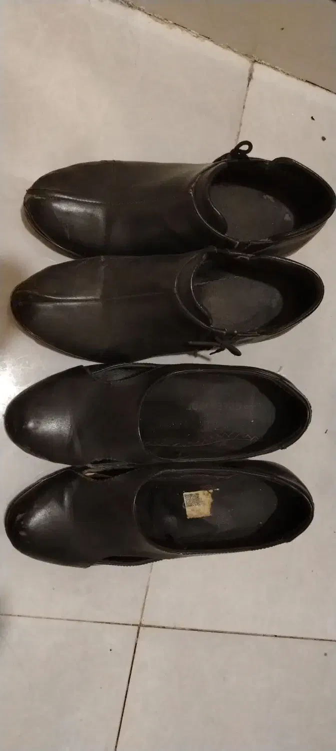 کفش|کیف، کفش، کمربند|بوشهر, |دیوار