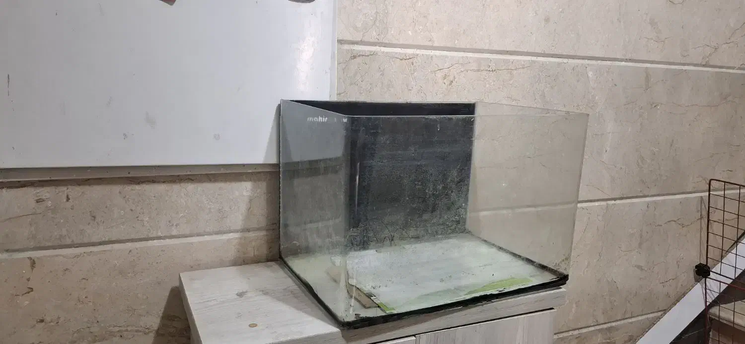 آکواریوم شیشه خم ماهیران|ماهی|تهران, ارامنه|دیوار