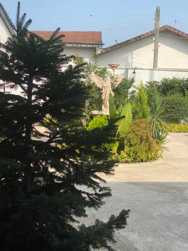 ظرفشور/سالندار/کمک آشپز|استخدام خدمات فروشگاه و رستوران|رشت, جانبازان|دیوار