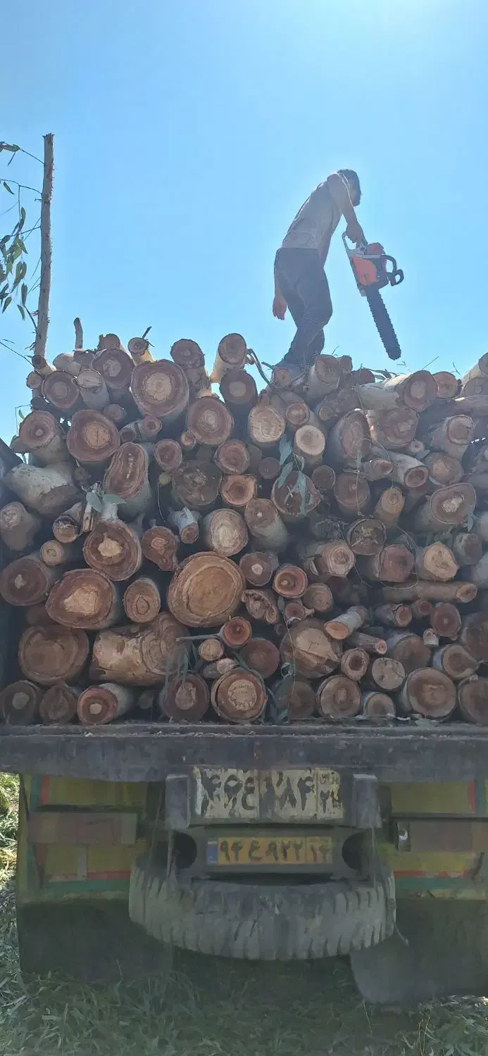 چوب،اره، ویلا باغ|خدمات باغبانی و درختکاری|دزفول, |دیوار