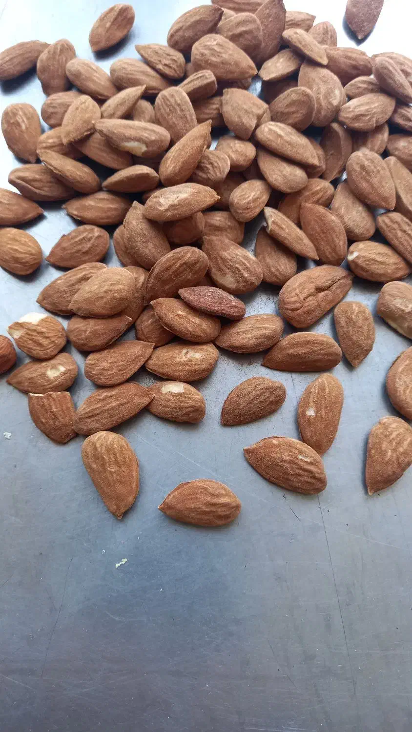 انواع مغز بادام ایرانی|خوردنی و آشامیدنی|قم, میدان نو|دیوار