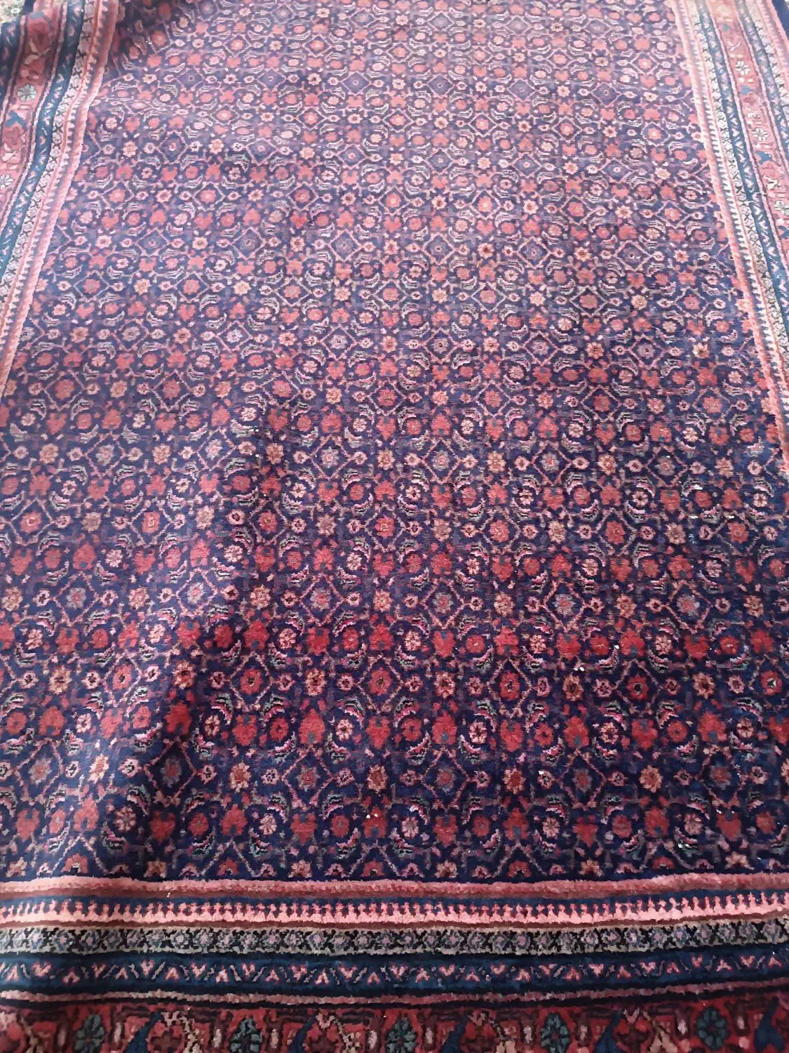 فرش دستباف|فرش|شاهدشهر, |دیوار